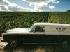 A scenic view of one of the plots where selections of grapes are grown