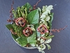 noma denmark raw nordic cuisine