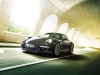 porsche 911 50th anniversary