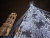 1.5.-Vilnius-Christmas-Tree-2021.-Photo-by-Saulius-Ziura-min