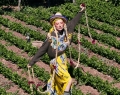 Photo Courtesy Of Antonio Marras