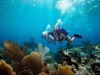 For water sport enthusiasts, a visit to The Andros Barrier Reef, the third largest fringing coral reef in the world, with its blue holes for scuba divers, and its 160 species of coral and fish, is a must | Photos courtesy of Bahamas Ministry of Tourism & Aviation