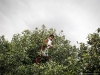 Stegemann wrote The 7 Virtues of a Philosopher Queen to help women, but it has evolved into The 7 Virtues, a shining example of social enterprise, helping farmers in war-torn countries earn decent wages | Photos Courtesy Of The 7 Virtues
