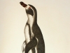 Out of all the bird species that exist, penguins may very well be the most human-like, as they’re bipedal and extremely affable creatures