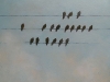 Lot #2, “Birds of a Feather” by Rita Vindedzis