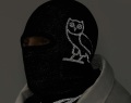 canadagoosexovo-2