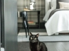 The couple’s cat, Beamer, is a quiet fellow but loves good design as much as the next guy, and can be found enjoying the sunshine in the sky-high living room / Photos By Robin Gartner