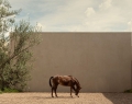 architects1.indd-min