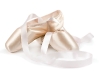 heather-ogden-guillaume-cote-ballet-shoes