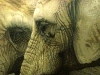 Mark Strutt’s “Big Thinkers”