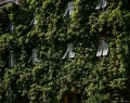 ParkhotelMondschein-2