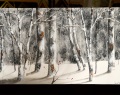 Doris-1