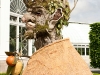 philip haas summer botanical garden