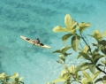 LaSamannabyBelmond-8