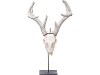 A Swarovski-encrusted, mounted deer skull adds mystery and glam to your surroundings.