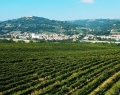 Fazi-Battaglia-01-min