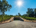 The Inglenook winery cave is distinctive for its complex engineering and size, and features 120 fermentation tanks that are aligned with each organically farmed vineyard block on the estate | Photo By Alexander Rubin
