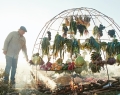 Mallmann’s innovative techniques, such as introducing live fire to fruits and vegetables, has made him a global trendsetter | Photos Courtesy Of Francis Mallmann