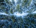 A-Unique-Snowy1