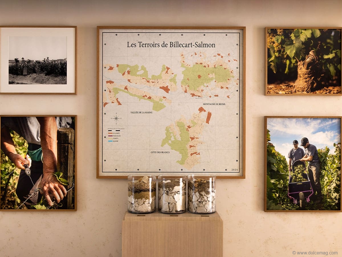 Billecart-Salmon-Trip2