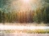 Misty Algonquin Morning,  Algonquin Provincial Park, Ont.