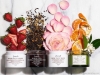 Fresh Beauty / Keep your skin young, glowing and rejuvenated with the Fresh beauty skin-care product line.