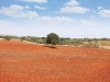 The area’s rich, rust-coloured soil sees many fruit and olive trees flourish.