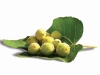 Casa Calongo’s many luscious gardens are filled with fresh fruit, including these delicious figs.