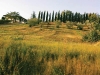 Tuscany’s golden hillsides are an unforgettable sight.