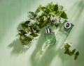 NEST_INDIAN_JASMINE_FLOWERS_0057_hero_R_hires-min