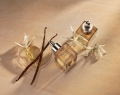 NEST_MADAGASCAR_VANILLA_FLOWERS_0032_hero_R_hires-min