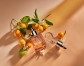 NEST_SEVILLE_ORANGE_FLOWERS_0066_R_hires-min