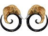 Bewitch your ensemble — and your admirers — with these daring gold-plated and sterling silver elephant earrings. www.vivre.com
