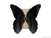 6. PAPILLON CABINET