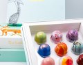 Objects-of-Desire14