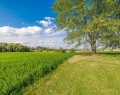 kingtownship-2