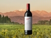 The 2019 Bin 407 Cabernet Sauvignon (RRP: $110). Developed in response to the increasing availability of high-quality Cabernet Sauvignon fruit, it highlights the rewards of the brand’s multi-region, multi-vineyard blending with the ripe fruit supported by a sensitive use of oak. Peter Gago, chief winemaker at Penfolds, describes it as “vibrant and compelling, showing respect to variety and house style.” | Photos Courtesy Of Mark Anthony