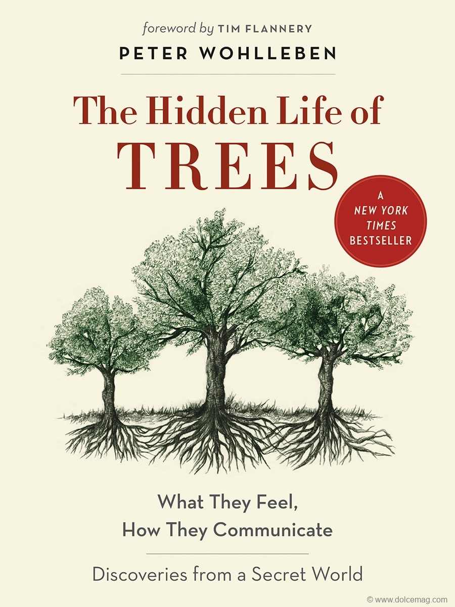 Wohlleben’s last book, The Hidden Life of Trees, explores the science behind how and why trees communicate | | Photo Courtesy Of Peter Wohllenben