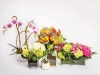 The Pusateri’s Luxury Home and Floral Shop’s stunning arrangements are perfect for gifts, energizing the home and office, and transforming special occasions into memorable ones