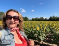 the stunning sunflowers of Dixie Orchard, which are a signal of the fall growing season.
