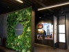 The interior features Japanese-inspired minimalism, emphasizing darker tones balanced with natural materials