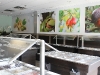 inside store