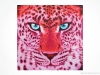Pink Leopard by Sabrina Rupprecht