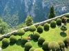 While venturing through the multiple garden rooms, it becomes very easy to lose your way in the fantasy world created by large shrubs, hedges and flowers.