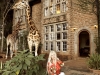 Mantella at the Giraffe Manor in Nairobi | Photos by Sacha Specker