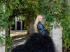 Sylvia Mantella, Co-Founder Of The Mantella Animal Rescue And Adoption Sanctuary