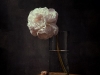 Given the lockdowns we are all facing, Bahry has found a way to unleash her creativity in isolation through her still-life work depicting a variety of lush flowers | Photo by Tamara Bahry