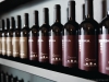 Mammoliti stocks his bars with a handpicked selection of unique imported wine varietals, sourced through his importing company Cavinona | Photo by DYLAN + JENI