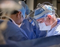 Dr.-Tirone-David-min