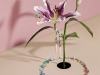 Joie-Jewelry-01-min